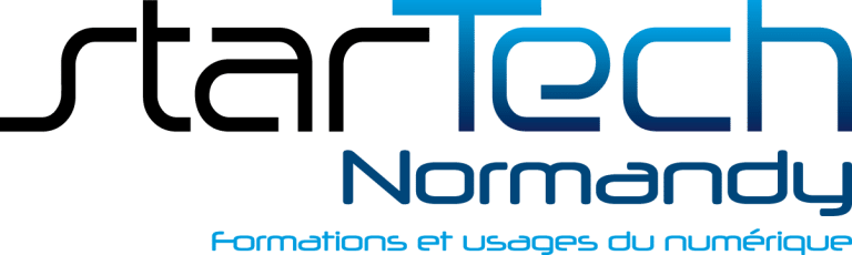 Logo starTech Normandy - format simple
